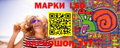 Альфа ПВП Малгобек
