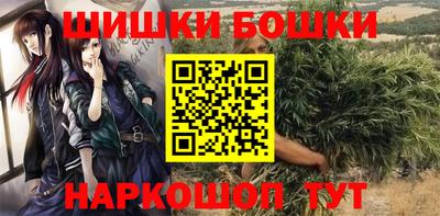 Альфа ПВП Малгобек