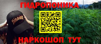 Альфа ПВП Малгобек