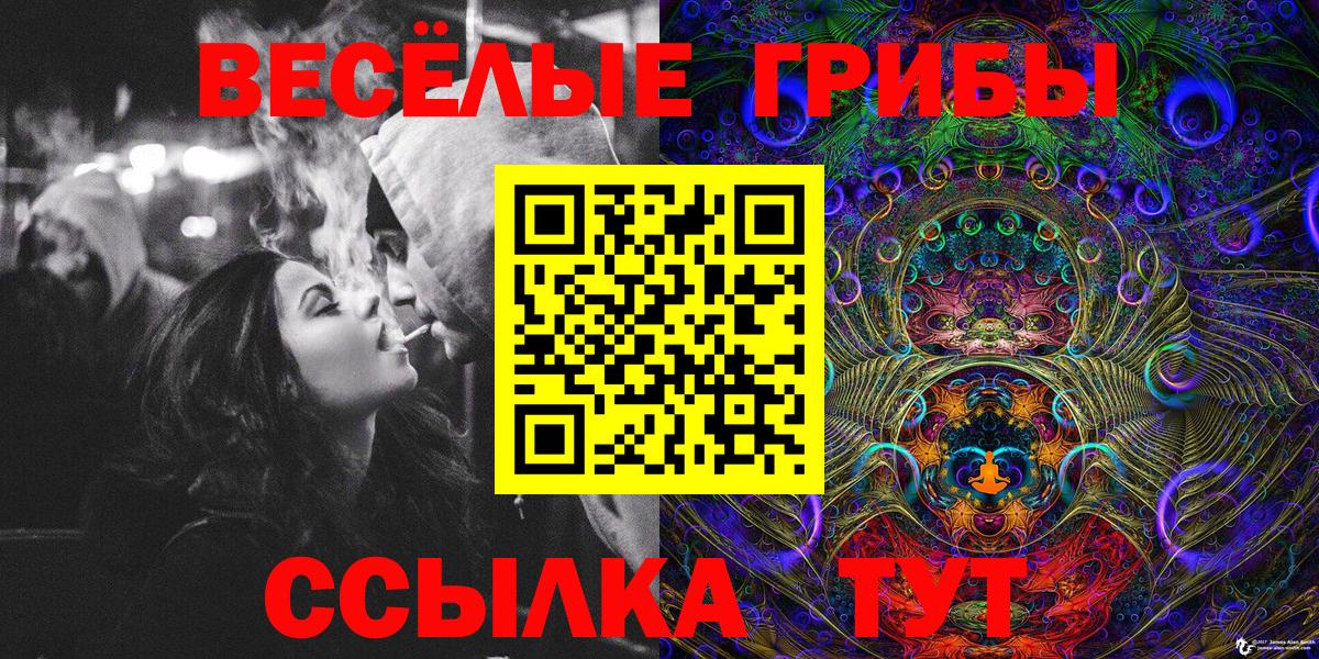 Псилоцибиновые грибы мицелий Уссурийск
